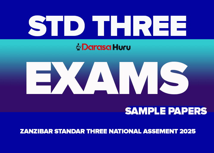 Sample Papers Standard Three National Assessment Exams 2025 PDF Zanzibar