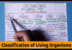 CLASSIFICATION OF LIVING THINGS BIOLOGY