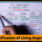 CLASSIFICATION OF LIVING THINGS BIOLOGY