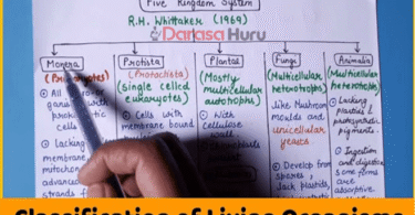 CLASSIFICATION OF LIVING THINGS BIOLOGY