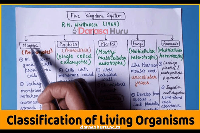 CLASSIFICATION OF LIVING THINGS BIOLOGY