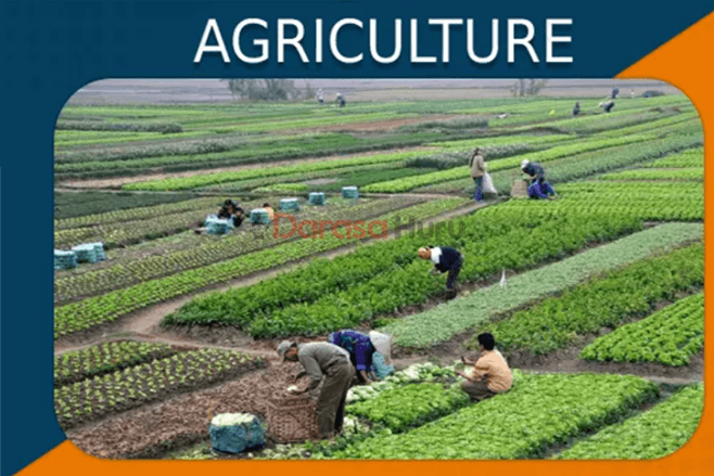 Agriculture Form Five Notes