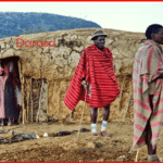 MIFUMO YA KIHISTORIA NA MAADILI KABLA YA UKOLONI, JAMII ZA KITANZANIA KABLA YA UKOLONI, FURSA ZA UWEKEZAJI ZITOKANAZO NA VIVUTIO VYA KIHISTORIA NA URITHI