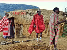 MIFUMO YA KIHISTORIA NA MAADILI KABLA YA UKOLONI, JAMII ZA KITANZANIA KABLA YA UKOLONI, FURSA ZA UWEKEZAJI ZITOKANAZO NA VIVUTIO VYA KIHISTORIA NA URITHI