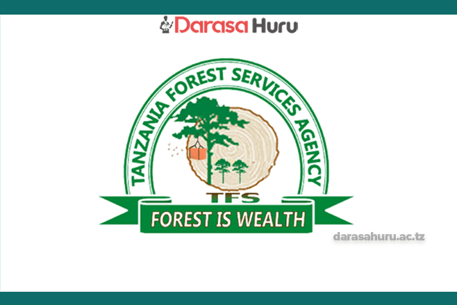 Nafasi za Kazi 90+ TFS Tanzania
