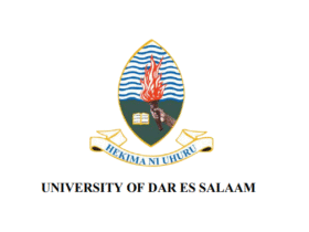 UDSM Undergraduate Prospectus 2025/2026