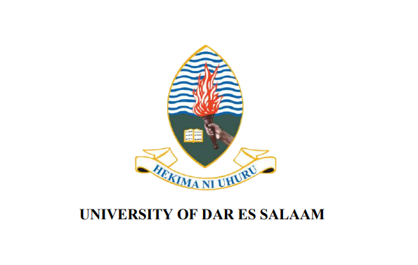 UDSM Undergraduate Prospectus 2025/2026