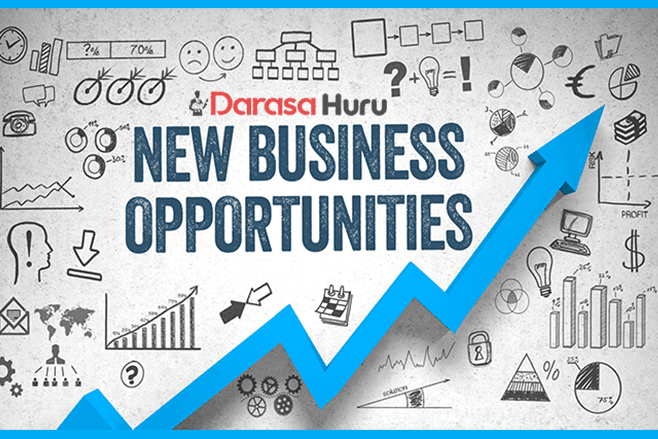 Business Opportunity Identification