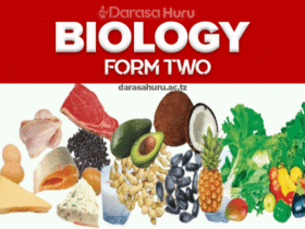 TOPIC 1 NUTRITION IN ANIMALS - Biology Notes Form Two New