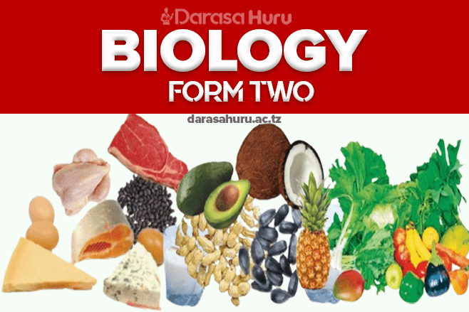 TOPIC 1 NUTRITION IN ANIMALS - Biology Notes Form Two New