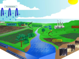 Hydrology Revision Question by Paschal Endesh