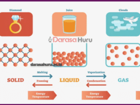 CHAPTER 3 MATTER - SCIENCE STD 4 NOTES
