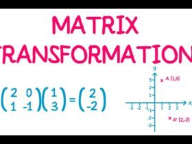 Matrices and Transformations Revision Questions - Darasa...