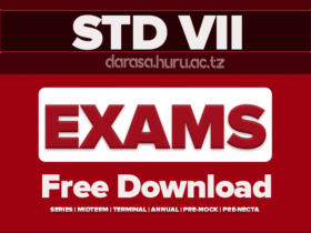 STANDARD SEVEN EXAM SERIES I 2026 SHINYANGA DC, APEO Preparatory Mock Examination for Standard Seven August 2025