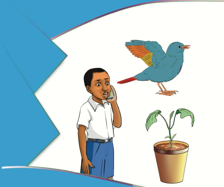 Sayansi TIE Book Darasa La Tatu, Science TIE Book Standard Three