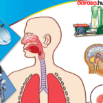 Sayansi TIE Book Darasa La Tatu, Sayansi na Teknolojia TIE Book Darasa La Saba, Science and Technology TIE Book Standard Seven