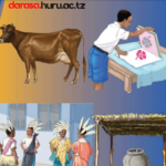 Vocational Skills TIE Book Standard Seven, Stadi za Kazi TIE Book Darasa Huru