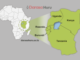 INTERACTIONS IN EASTERN AFRICA