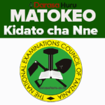 MATOKEO YA MTIHANI KIDATO CHA NNE 2025 | FORM FOUR RESULTS CSEE 2025