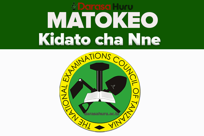 FORM FOUR RESULTS CSEE 2025, MATOKEO YA MTIHANI KIDATO CHA NNE 2025 | FORM FOUR RESULTS CSEE 2025