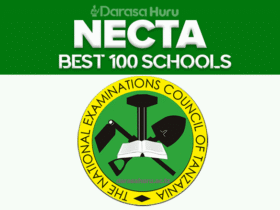 Shule 100 Bora Form Four | Best 100 Form Four CSEE Results 2025