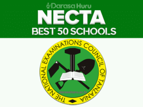 Best 50 Form Four CSEE Results 2025 | Shule 50 Bora Form Four