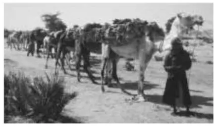 Screenshot 2026 01 02 013435