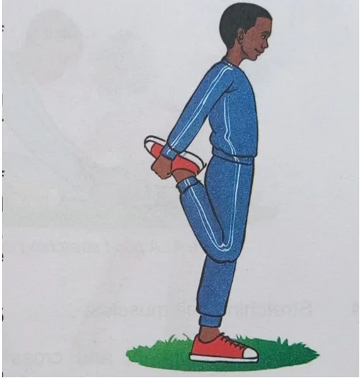 Screenshot 2026 01 16 190523