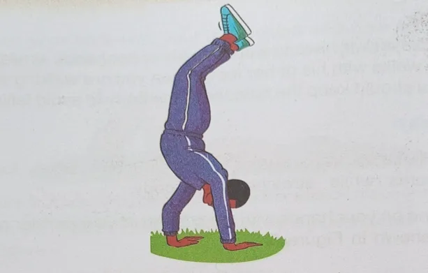 Screenshot 2026 01 16 193453