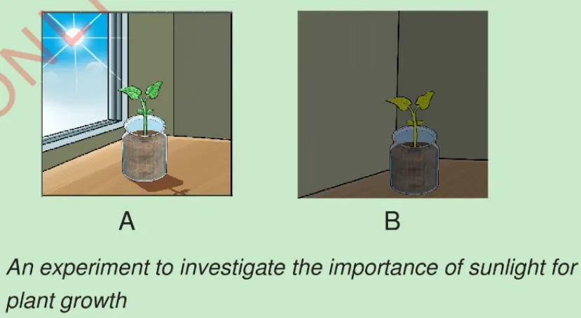 Screenshot 2026 01 27 215453