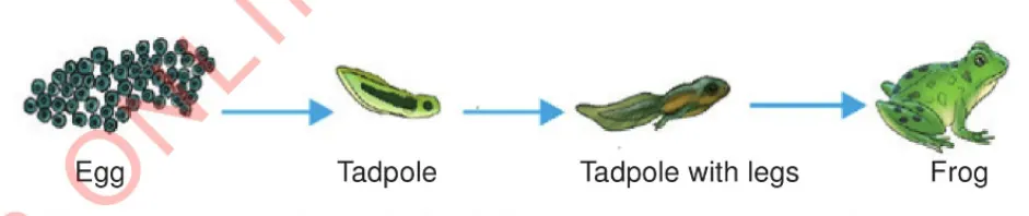 Screenshot 2026 01 27 220017