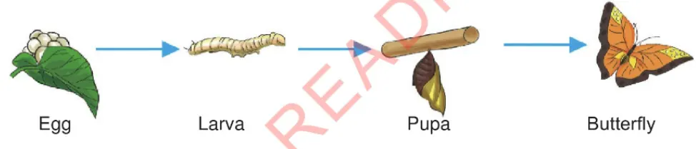 Screenshot 2026 01 27 220048