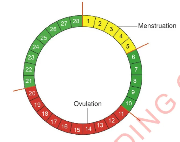 Screenshot 2026 01 27 220435