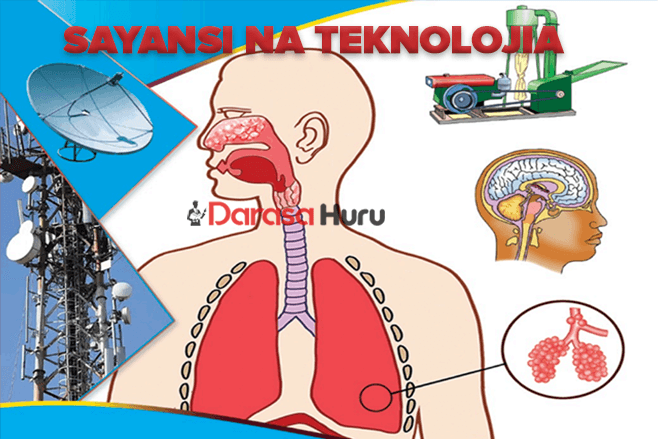 Sayansi Na Teknolojia Notes Darasa la Saba 7
