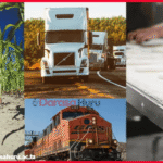 The Relationship Between Weather and Production Activities