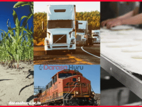 The Relationship Between Weather and Production Activities