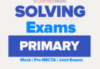 PRIMARY SCHOOLS (PRE - STD VII) EXAMINATIONS, PRIMARY SCHOOL EXAMINATIONS