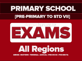 PRIMARY SCHOOL EXAMINATIONS | PRE-PRIMARY TO STANDARD SEVEN EXAMS 2026 ALL REGIONS