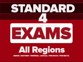 STANDARD FOUR (DARASA LA NNE) EXAMINATIONS 2026 ALL REGIONS