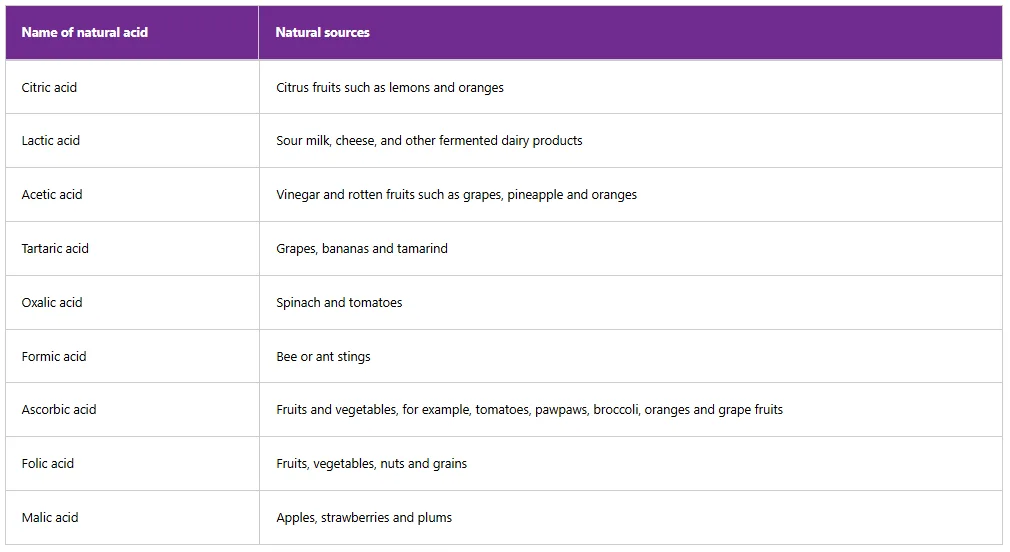 Screenshot 2026 03 01 011125