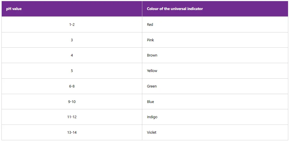 Screenshot 2026 03 01 013956