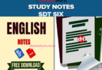 English Notes For Standard Six - All Topics