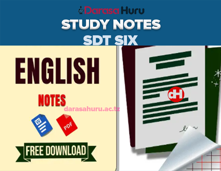 English Notes For Standard Six - All Topics