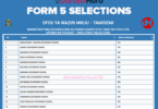 FORM FIVE SELECTION 2026 KWA SHULE (WALIOPANGWA SHULE MOJA)