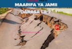 Maarifa ya Jamii Notes Darasa la Saba All Topics