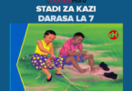 Stadi za Kazi Notes Darasa la Saba - All Topics