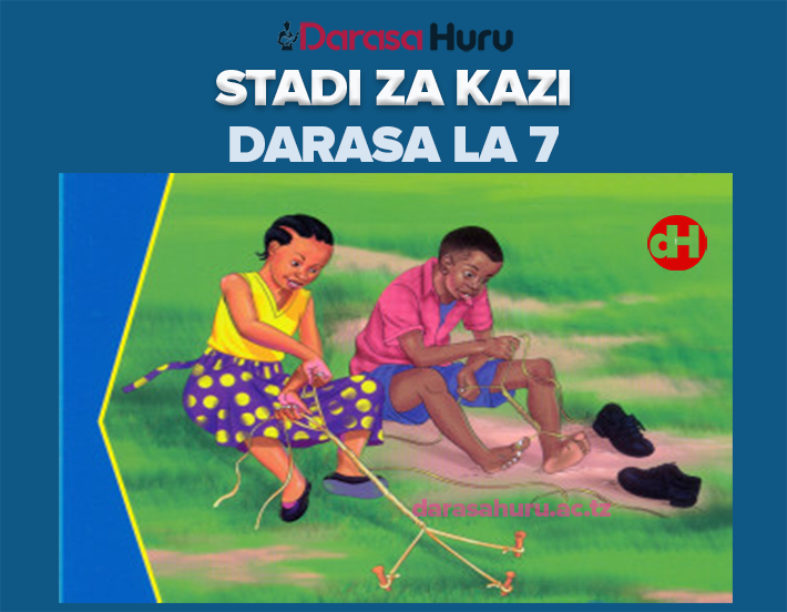 Stadi za Kazi Notes Darasa la Saba - All Topics