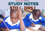 FULL NOTES STANDARD ONE (DARASA LA KWANZA) NEW – ALL SUBJECTS