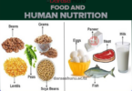 FOOD AND HUMAN NUTRITION NOTES FORM FIVE – ALL TOPICS
