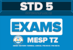 STANDARD FIVE ASSESSMENT EXAMINATION 2026 SERIES 2